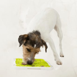   Trixie Lick’n'Snack Licking Plate - jutalomfalat adagoló (tányér) kutyák részére (20x20cm)