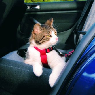 Trixie Friends on Tour autós biztonsági hám cicáknak