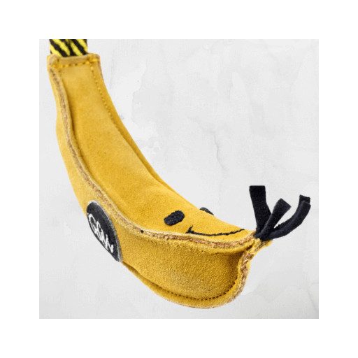 Barry a banán - kutyajáték - Green & Wilds