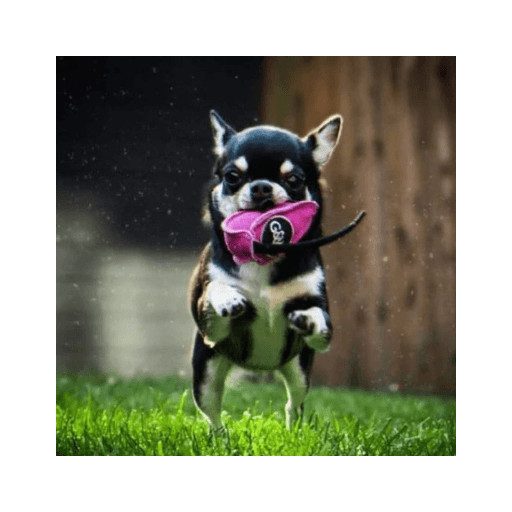 Mike kisegér - kutya, cica játék - Green & Wild's Natúr színű