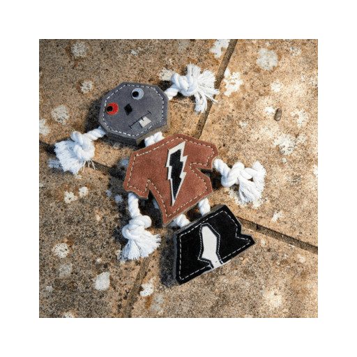 Robot vagyok, legyünk barátok - öko kutyajáték - Green & Wild's