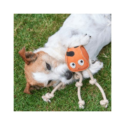  Sid a tintahal - öko kutyajáték - Green & Wilds