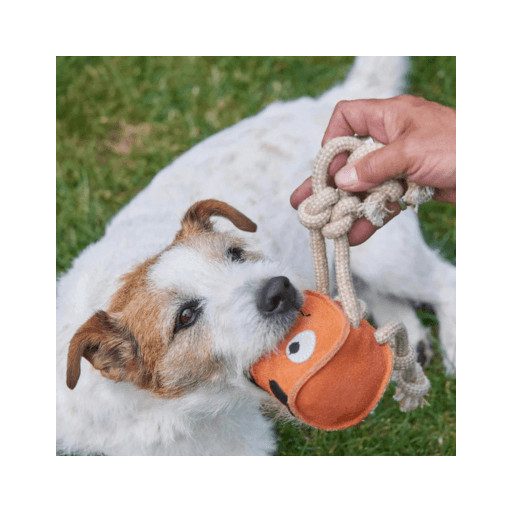  Sid a tintahal - öko kutyajáték - Green & Wilds