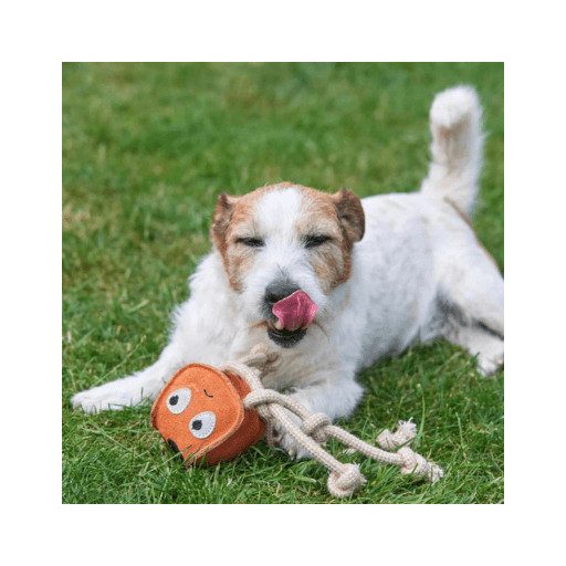  Sid a tintahal - öko kutyajáték - Green & Wilds