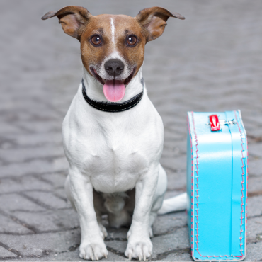 Checklista nyaraláshoz