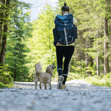 Miért érdemes protein szeletet vinni a kutyás kirándulásra?